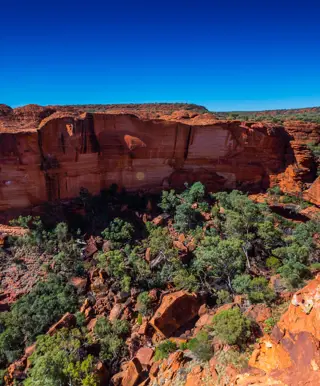 Erkunde das australische Outback